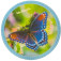 McNeill McAddys zu Schulranzen Cute Animals: Schmetterling