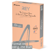 Kopier-Offset A4 KP4160 Kopier-Offset A4 KP4160 REYAdagio 160g lachs Pckg. a 250 Blatt