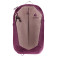 Deuter AC Lite 15 SL ashrose-cassis