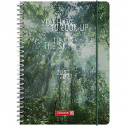 Brunnen Schülerkalender A5 PP 2S/1W LookUp