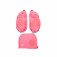 Ergobag Fluo LED Seitentaschen Zip Set Pink