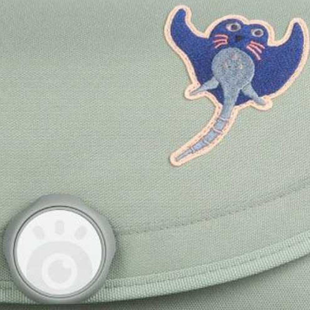 School Mood Reef Ocean Collection