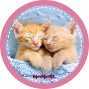 McNeill McAddys zu Schulranzen Haustiere Katzen 2er Gruppe