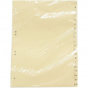 Register RC A4 A-Z BT430 Register RC A4 A-Z BT430 297mm x 210/225mm 20-tlg. chamois