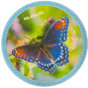 McNeill McAddys zu McNeill McAddys zu Schulranzen Cute Animals: Schmetterling