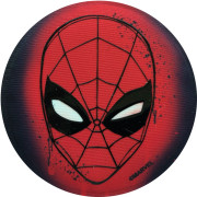 McNeill Mc Addy Disney SPIDER MAN II