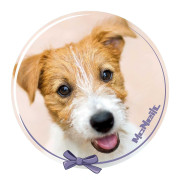 McNeill McAddys zu Schulranzen Haustiere Hund grün