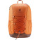 Deuter Rucksack Gogo chestnut-umbra