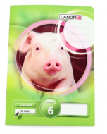 Schulheft A5 BTH5161 90g Schulheft A5 BTH5161 90g Optik Paper