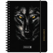 Brunnen Schülerkalender A6 PP 2S/1W Wolf