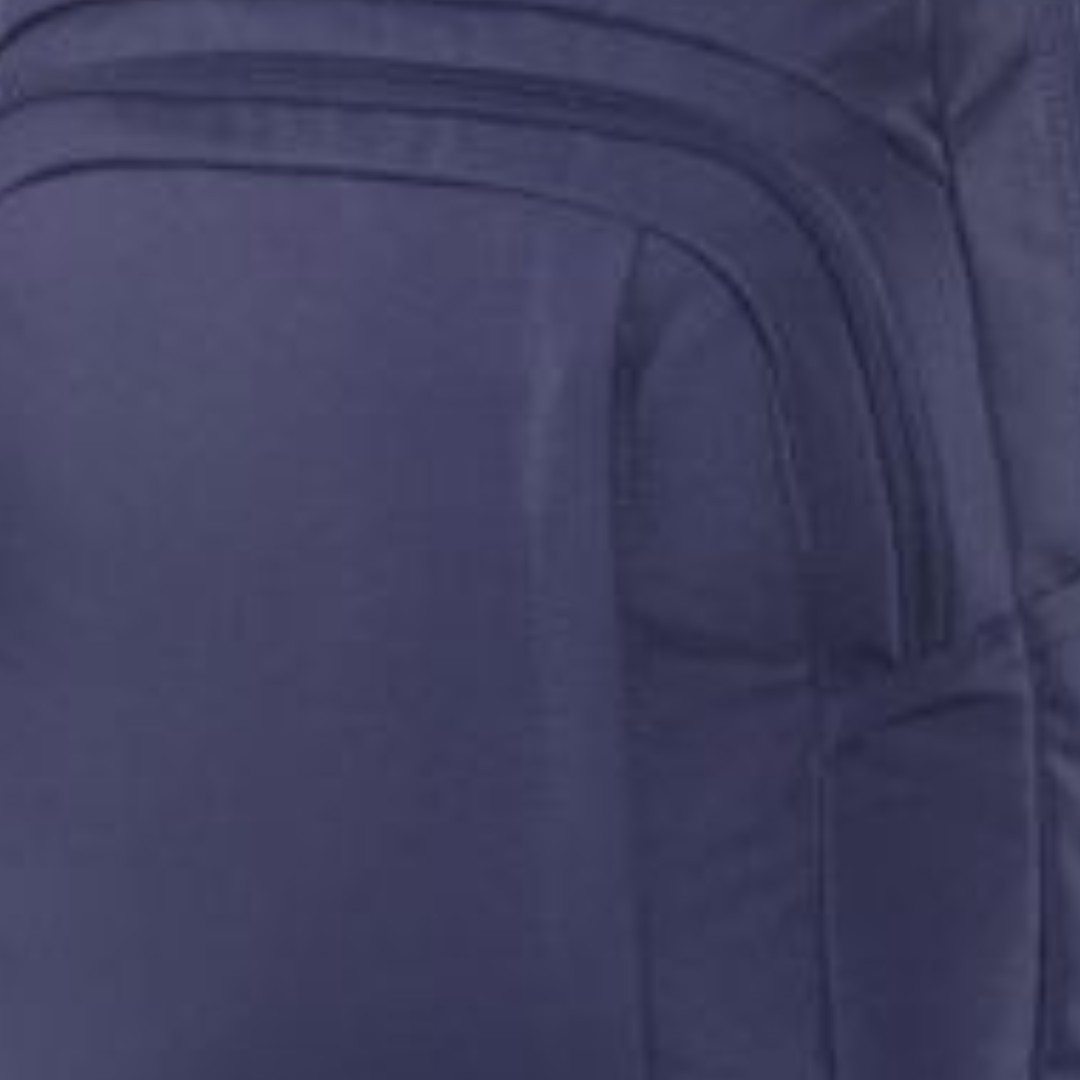Dakine Rucksack Naval Academy