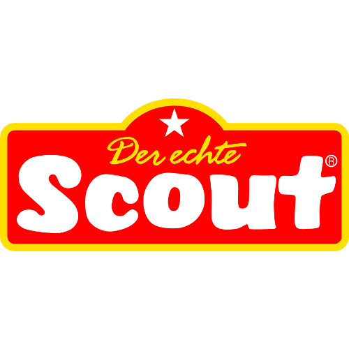 Icon-Scout