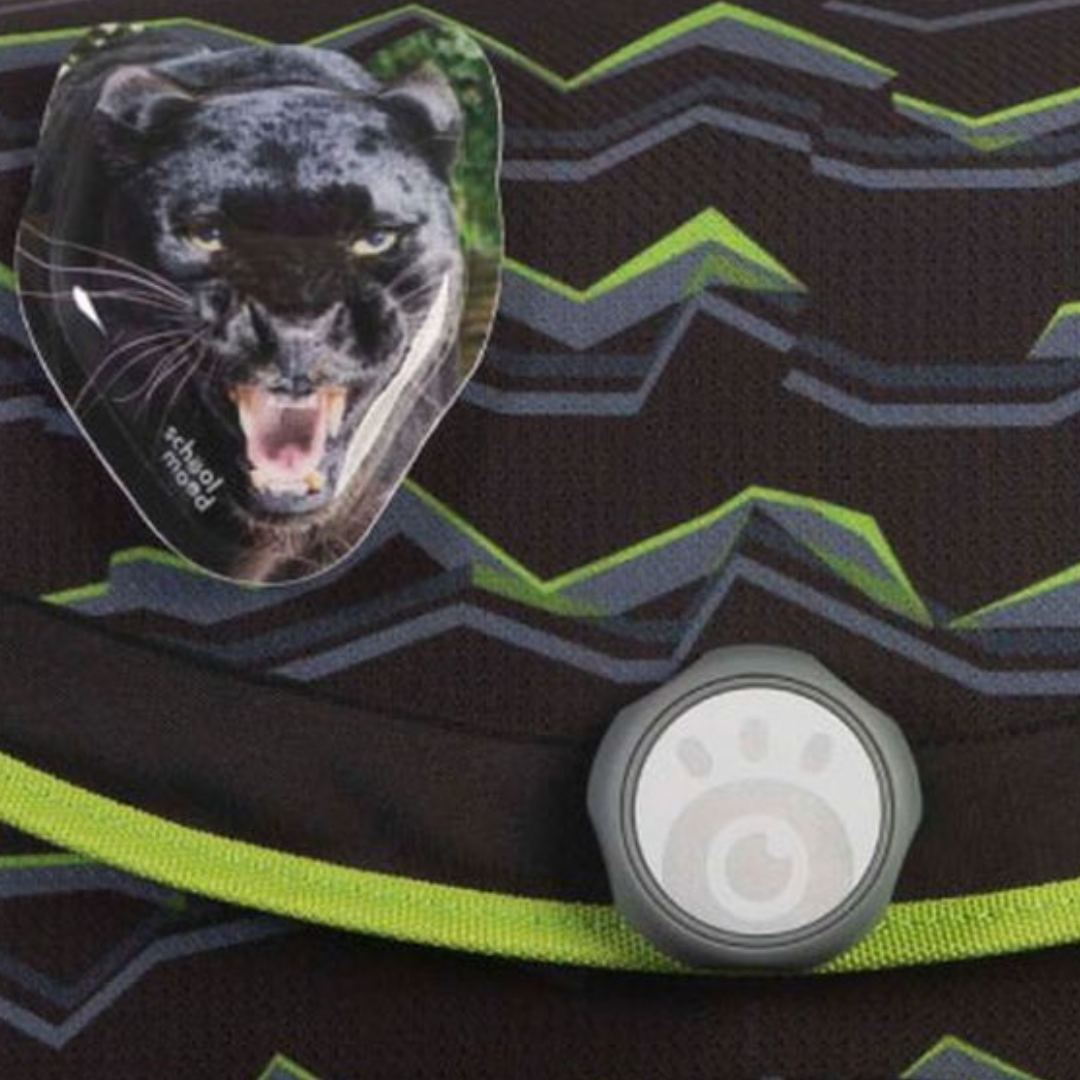 School Mood Finn Raubkatze