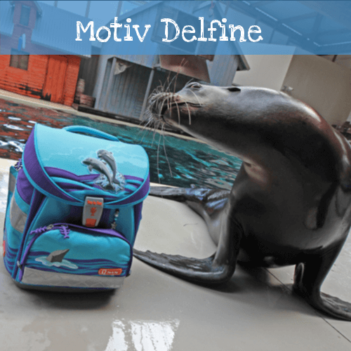 Delfin mit Robbe