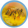 McNeill McAddys zu Schulranzen Cute Animals: Biene