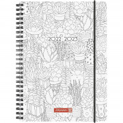 Brunnen Schülerkalender A5 PP 2S/1W ZENart