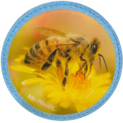 McNeill McAddys zu McNeill McAddys zu Schulranzen Cute Animals: Biene